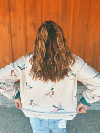 Mallard Duck Casual Rib Pullover