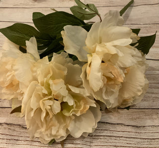 Peony Bush 19”