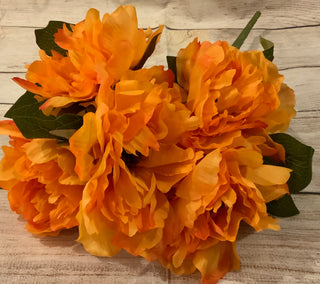 Peony Bush 19”