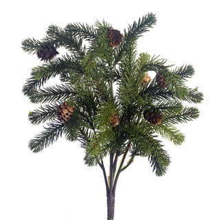 Angel Pine Bush