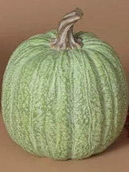 Resin Harvest Pumpkin, Green
