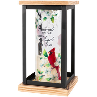 Cardinal’s Appear Framed Cylindar Lantern