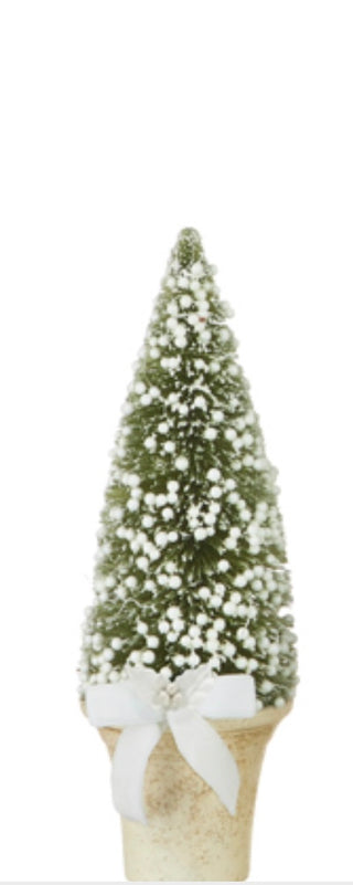 Potted Bottle Brush Tree w/White Berries