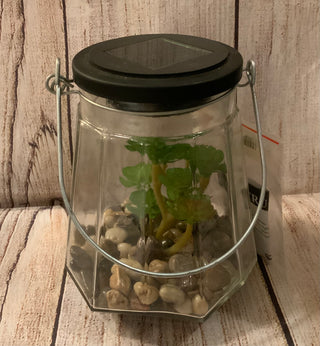 Solar Lantern w/Plant