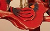 Wooden Cardinal Ornament