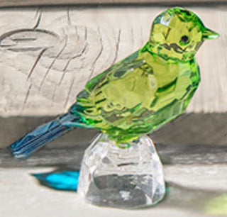 Acrylic Bird on a Rock