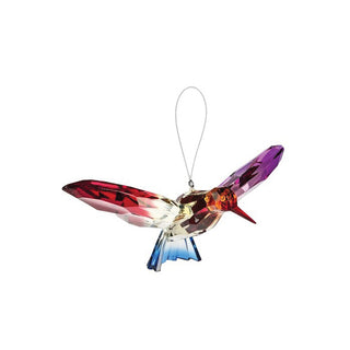 Acrylic Rainbow Hummingbird