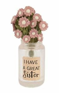I Have a Great Sister Jar