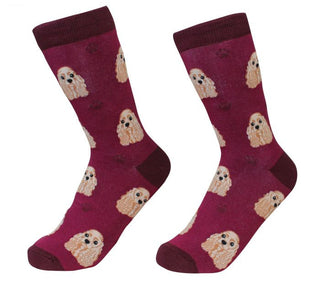 E&S Pets Cocker Spaniel Socks