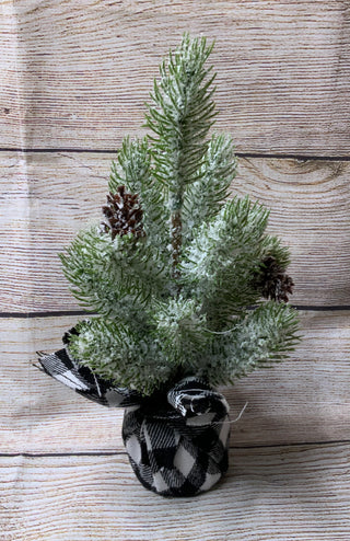 Pine Tree w/Black White Check Wrapped Base