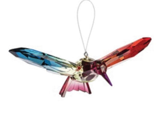 Acrylic Rainbow Hummingbird