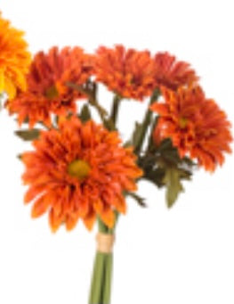 Zinnia Bundle, 11”