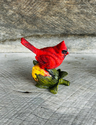 Cardinal Sitter