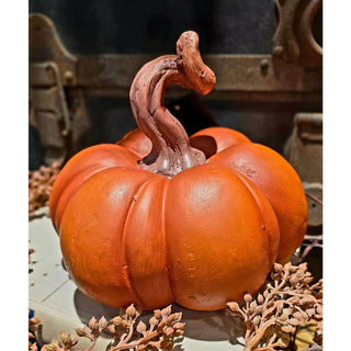 Orange Pumpkin 6x7