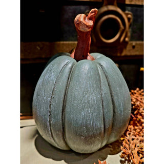 Munchkin Pumpkin 6x7