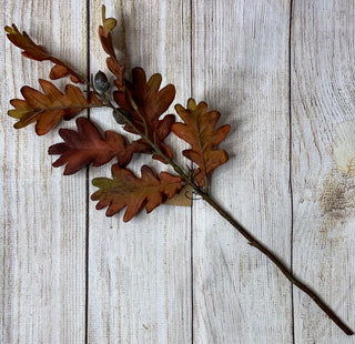 Oak Leaf Spray