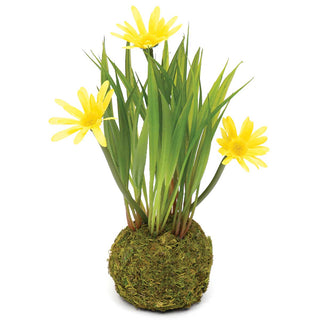Mini Daisy w/ Faux Moss