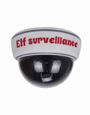 Elf Cam Surveillance