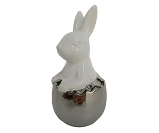 White Bunny in Silver Egg