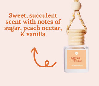 Noteworthy Co. Car Diffuser Sweet Peach