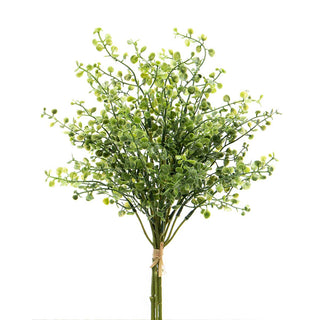 Portico Privet Bundle