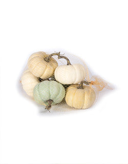 Mixed Bag of Pumpkins