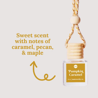 Noteworthy Co. Car Diffuser Pumpkin Caramel