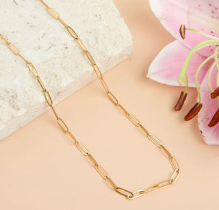 Howard's Narelle Waterproof Paperclip Chain Necklace Gold