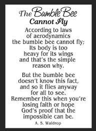 The Bumble Bee Charm