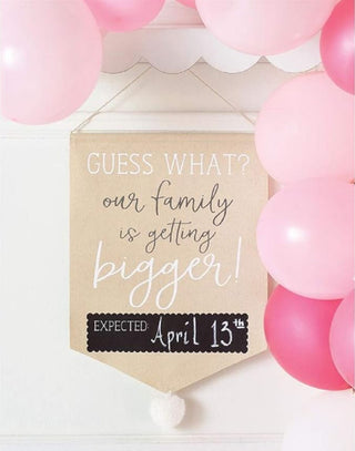 Mudpie Pregnancy Photo Canvas Banner