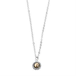 Whispers Silver Rope w/Gold Stud Necklace WN004278