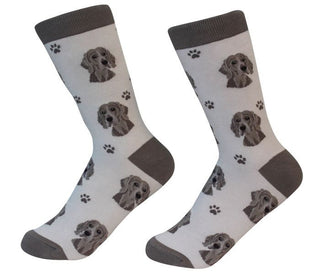 E&S Pets Weimaraner Socks