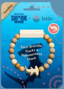 Fahlo Hammerhead Shark Week Bracelet Sandbar