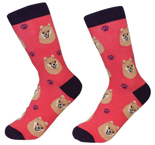E&S Pets Pomeranian Socks