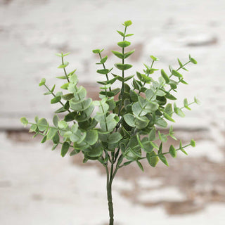 Eucalyptus Bush