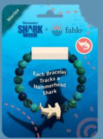 Fahlo Hammerhead Shark Week Bracelet Marina