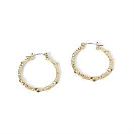 Whispers Gold Jagged Edge w/Stones Earrings WN004201