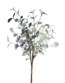 Silver Eucalyptus Bush 36”