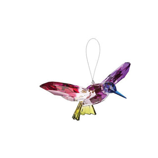 Acrylic Rainbow Hummingbird