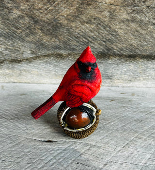 Cardinal Sitter