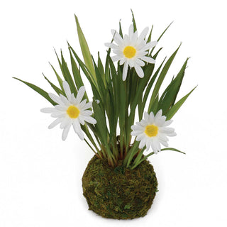Mini Daisy w/ Faux Moss