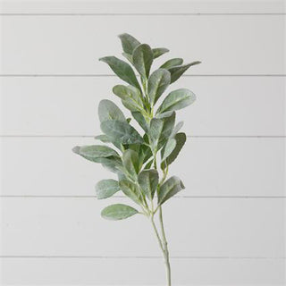 Lamb’s Ear Pick