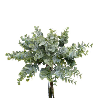 Eucalyptus Bundle