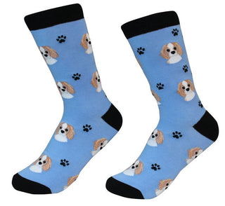 E&S Pets Cavalier King Charles Socks