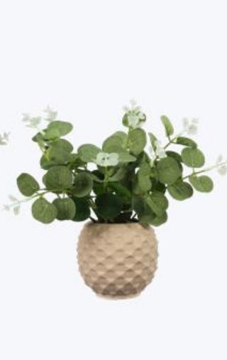Ceramic Planter w/Succulent