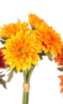 Zinnia Bundle, 11”