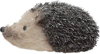 Grey Hedgehog