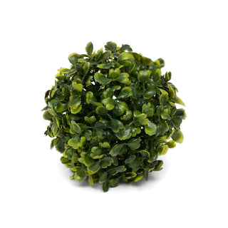 Boxwood Ball 4”