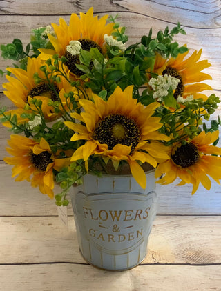 Sunflower in Metal Bucket