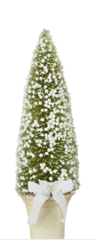 Potted Bottle Brush Tree w/White Berries